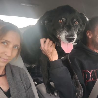 Dusty4142848227's profile picture. 