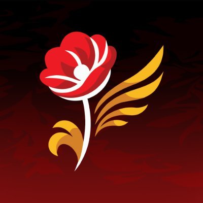 Team Flying Poppy🌹 Profile