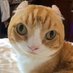 😺𝙰𝚜𝚑ey🌹 (@lilcrow_likes) Twitter profile photo 😺𝙰𝚜𝚑ey🌹 (@lilcrow_likes) Twitter profile photo