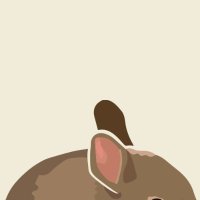 smol bun (@smolbunsol) Twitter profile photo