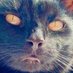Leeloo 🏴☠️ 🖤🤍🖤🤍 (@louanne1cat) Twitter profile photo Leeloo 🏴☠️ 🖤🤍🖤🤍 (@louanne1cat) Twitter profile photo