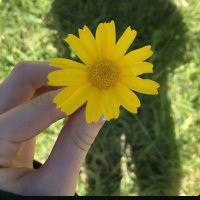 Jessica (@jessica45215) 's Twitter Profile