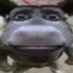 sam (@sampasternack) Twitter profile photo sam (@sampasternack) Twitter profile photo