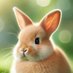 Bunny Robot Toy (@bunnyrobottoy) Twitter profile photo Bunny Robot Toy (@bunnyrobottoy) Twitter profile photo