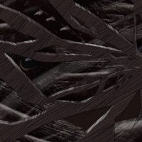 The Narrator (@anobjectivehand) 's Twitter Profile Photo The Narrator (@anobjectivehand) 's Twitter Profile Photo