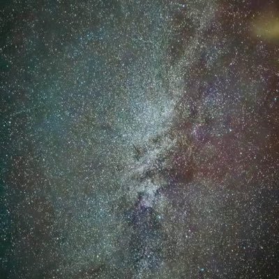 BlanchCabbage's profile picture. 