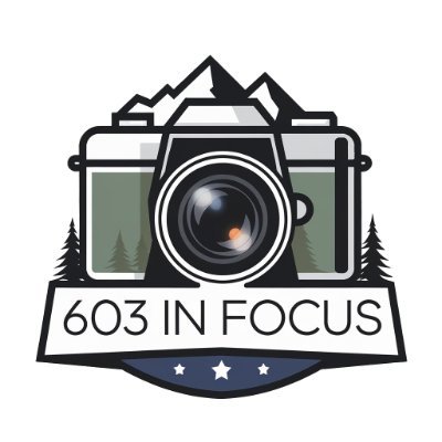 603infocus's profile picture. 