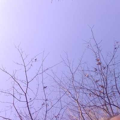 stantexs's profile picture. temporarily absent until the ..... supporters see the light...or notice the real fake news...