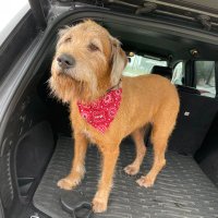 Swik (@swik00) 's Twitter Profile