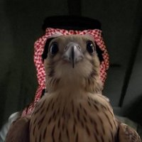 عبدالعزيز (@k515s_) Twitter profile photo