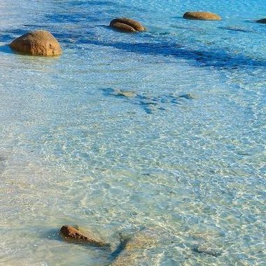 SimpleGuyOnWeb's profile picture. Just a simple guy.
Watching.......