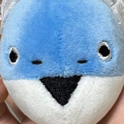 KMS_HWaiL's profile picture. 군머 2025.5.26 ~ 2026.11.25