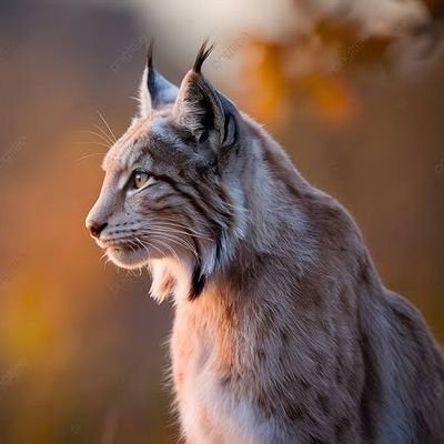 imrankhan_x's profile picture. pharmacian,learner, reader, trader, intellectual...