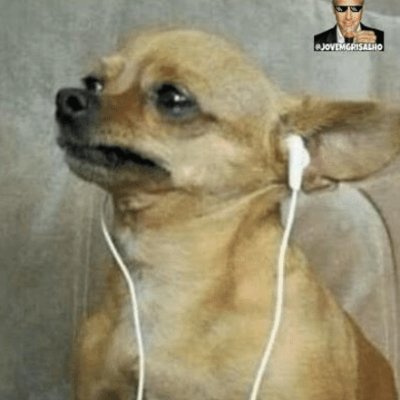 xlovecontrol's profile picture. • Mãe da @Camila_Cabello 🧚🏻‍♀️ • Girlfreen da @srchafreen 🐰🌷 • Mami da @AngelssBecky 🦦 | NINGUÉM acima delas 👆🏻 | Haters passem longe daqui | Fan account