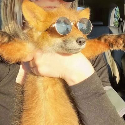 Mãe de 5 gatos | Lvl 22 | Ⓐ☭ Antifa, Ancom, Umbandista, Não-mono, HiveMind 🐈🐕🐈⬛🐇❤️