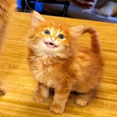 ignoreyourwhore's profile picture. 20