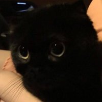 Mood (@cadde2771) 's Twitter Profile
