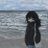 saucedmurphy's profile image