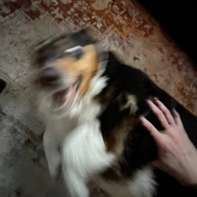 wmcr_x's profile picture. 