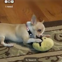 pate (@pate86856) 's Twitter Profile