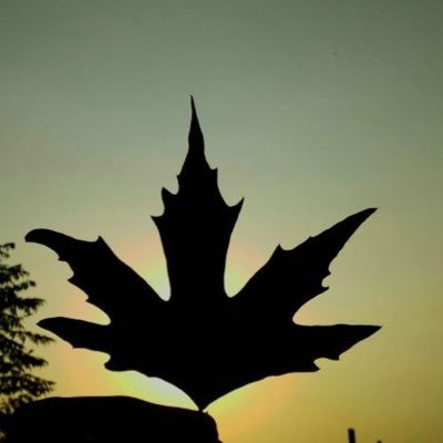 eternalmuneeb's profile picture. KASHMIRI🍁