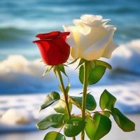 بنت المجمعه مولعه (@almjm_h34745) 's Twitter Profile