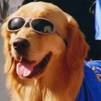 VIT logaN (@logann_csgo) 's Twitter Profile