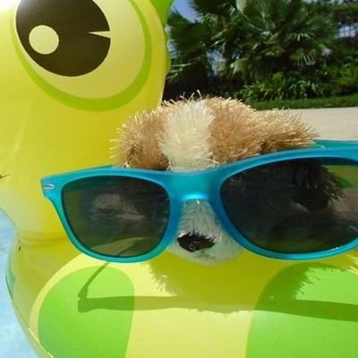 HambagaDog's profile picture. 