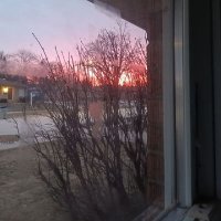 Cynthia Corrales (@cynthiacor38081) Twitter profile photo