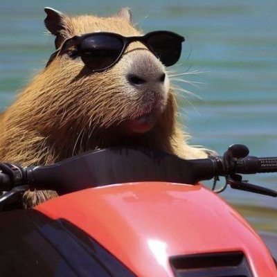 noelaaron50005's profile picture. 