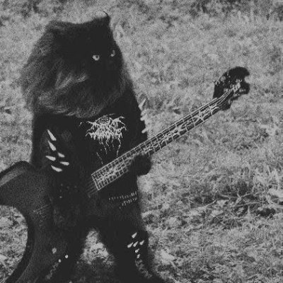 celiuuuusss's profile picture. Só pensamentos soltos💭, não espere lógica por aqui.