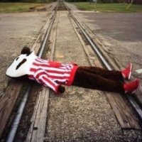 over (@deadbadgers18) 's Twitter Profile Photo over (@deadbadgers18) 's Twitter Profile Photo