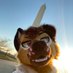 Siege (@siegethewolf) Twitter profile photo Siege (@siegethewolf) Twitter profile photo
