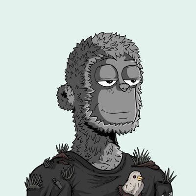 xyz_szn's profile picture. The Setup Chooses Me || Degen || Guardian ➠ @solflare