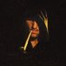 Flintlock Aristocracy (@ghostdog216) Twitter profile photo Flintlock Aristocracy (@ghostdog216) Twitter profile photo