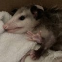 David Tittle - @tittle_dav44355 - Twitter