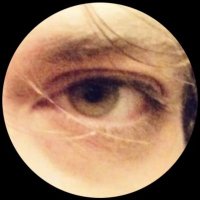 Quasimoido (@quasimoido1905) 's Twitter Profile