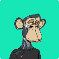 rubbertoe 🧢🐸 (@rubbertoe0x52) 's Twitter Profile Photo rubbertoe 🧢🐸 (@rubbertoe0x52) 's Twitter Profile Photo