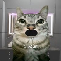Meowtine (@meowtineoffical) 's Twitter Profile Photo Meowtine (@meowtineoffical) 's Twitter Profile Photo