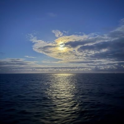 Anenke1's profile picture. Gesundheitswissenschaftler und Sport