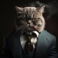 Yaash (@ctoknox) 's Twitter Profile Photo Yaash (@ctoknox) 's Twitter Profile Photo