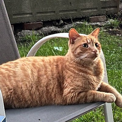 TrevorLvc49047's profile picture. 