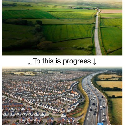 Anyone who votes for the LibLabConGreen pro mass immigration parties has no right to complain about more urban sprawl & traffic jams.
Vote Reform
