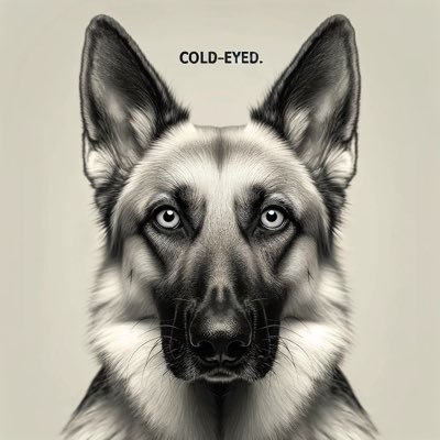 Thomaskong96638's profile picture. 