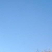 bob (@mike27190953) 's Twitter Profile
