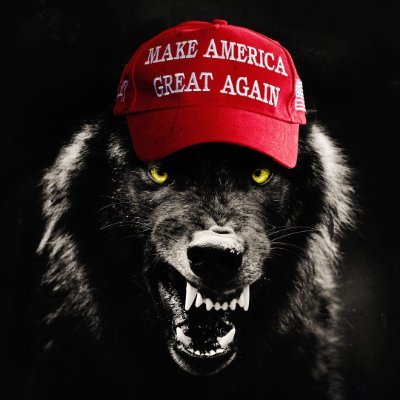 AYukonAffair's profile picture. Naturalist, Environmentalist. - One cannot violate the promptings of one's nature without having that nature recoil upon itself.

- Jack London, 1906