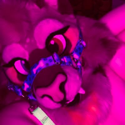‼️NSFW ACT 🛑- 22 - She/They - Pan🏳️🌈 - Soft/Murrsuiting - Fat Bitch dog- Taken & Open