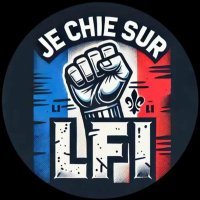 🇫🇷✝️❤️NoRmªndE‼️Ⓜ️ (@mancelle12) 's Twitter Profile