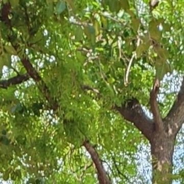 Deepika128632's profile picture. Ready to Fuck & Suck 
Threesome & Foursome, 
Gangbang.