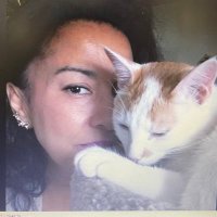 cecilia (@cmgl1968) 's Twitter Profile